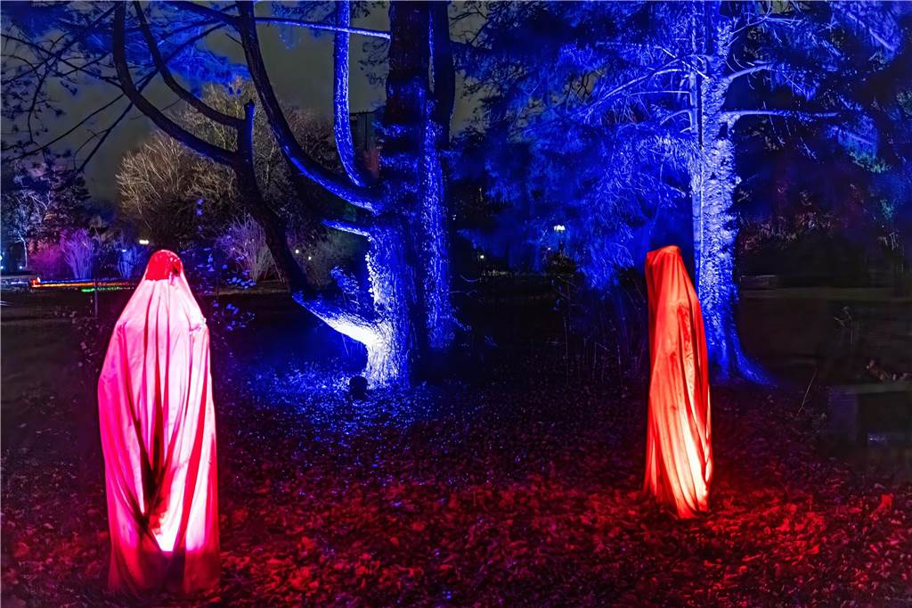 Winterleuchten 2023 im Westfalenpark: Die schönsten Fotos vom Lichtspektakel