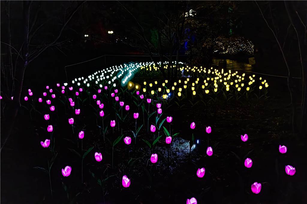Winterleuchten 2023 im Westfalenpark: Die schönsten Fotos vom Lichtspektakel
