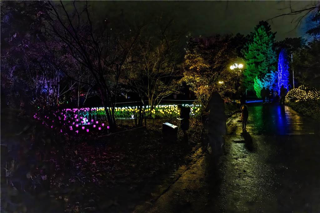 Winterleuchten 2023 im Westfalenpark: Die schönsten Fotos vom Lichtspektakel