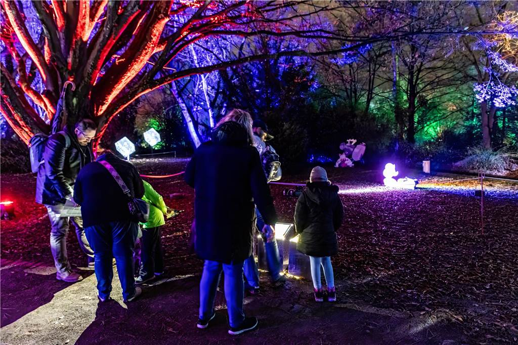 Winterleuchten 2023 im Westfalenpark: Die schönsten Fotos vom Lichtspektakel