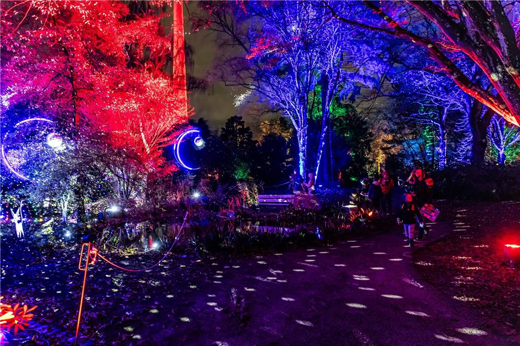 Winterleuchten 2023 im Westfalenpark: Die schönsten Fotos vom Lichtspektakel