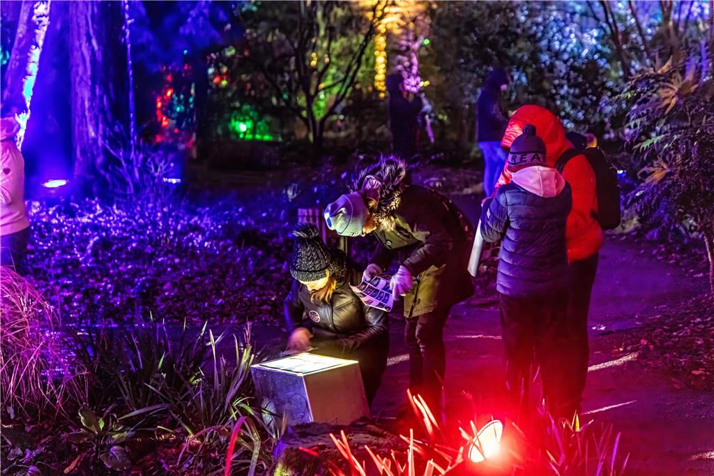 Winterleuchten 2023 im Westfalenpark: Die schönsten Fotos vom Lichtspektakel