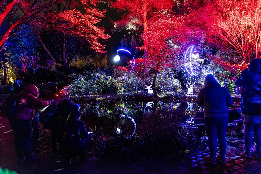 Winterleuchten 2023 im Westfalenpark: Die schönsten Fotos vom Lichtspektakel