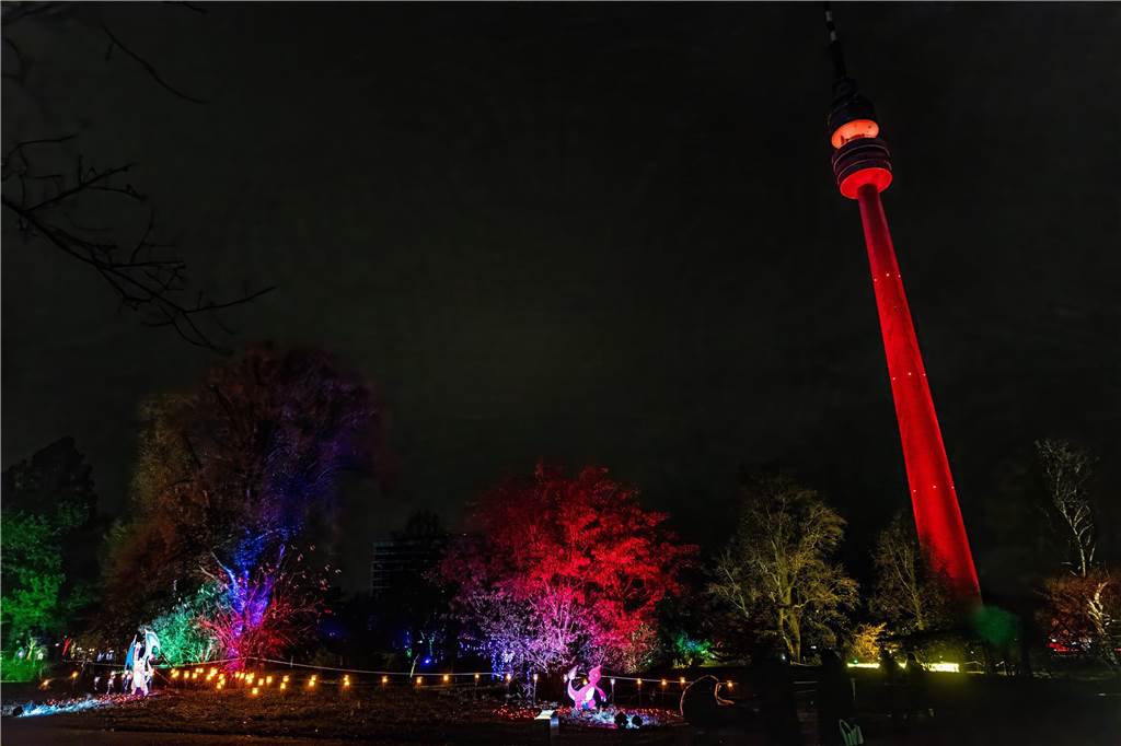 Winterleuchten 2023 im Westfalenpark: Die schönsten Fotos vom Lichtspektakel