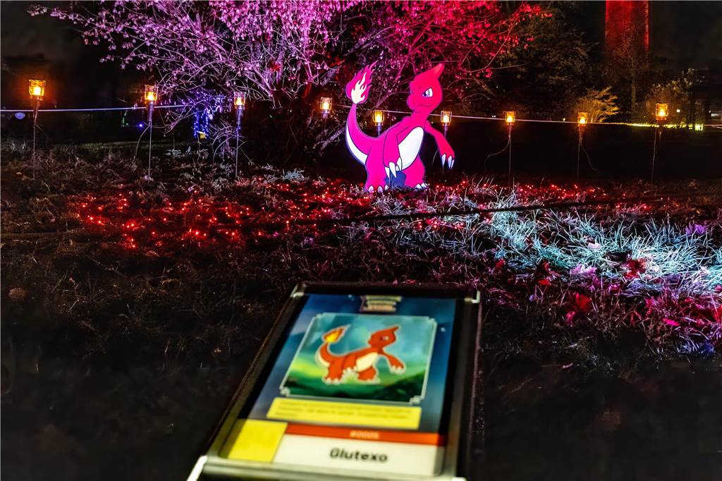 Winterleuchten 2023 im Westfalenpark: Die schönsten Fotos vom Lichtspektakel