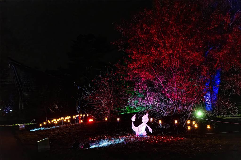 Winterleuchten 2023 im Westfalenpark: Die schönsten Fotos vom Lichtspektakel
