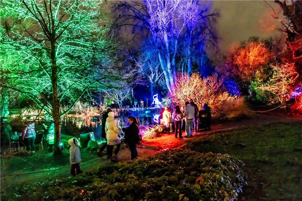 Winterleuchten 2023 im Westfalenpark: Die schönsten Fotos vom Lichtspektakel