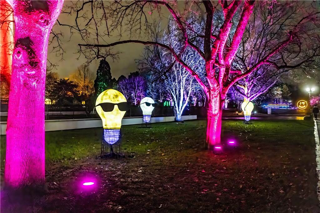 Winterleuchten 2023 im Westfalenpark: Die schönsten Fotos vom Lichtspektakel