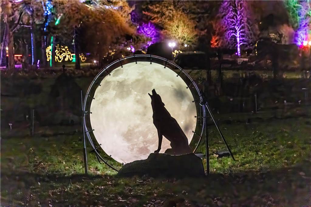 Winterleuchten 2023 im Westfalenpark: Die schönsten Fotos vom Lichtspektakel