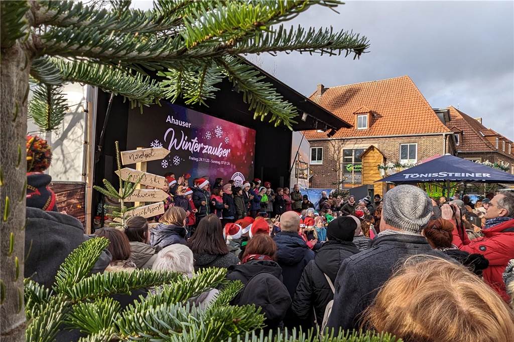 Viele Bilder: So stimmungsvoll war der Winterzauber-Sonntag in Ahaus