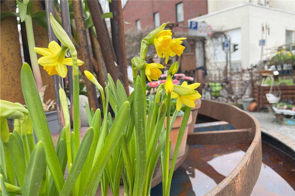 Viele Fotos vom Ostermarkt: Über 8000 Sonntagsbummler am verkaufsoffenen Ostermarkt-Sonntag
