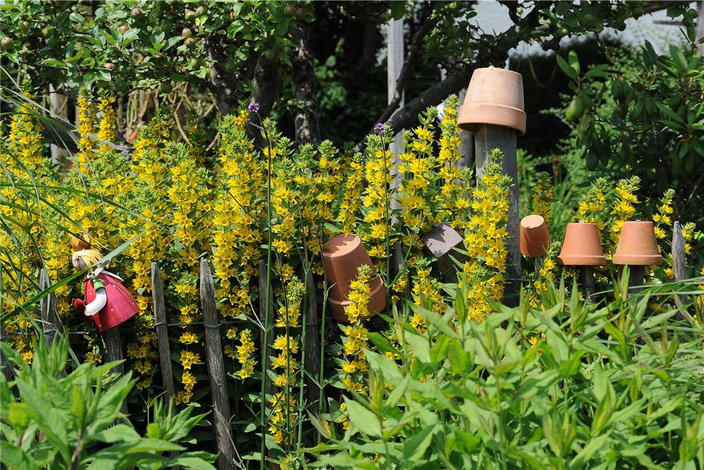 Aktion Garten Eden für das Schwerter Hospiz
Garten Aukschlat/Albrecht