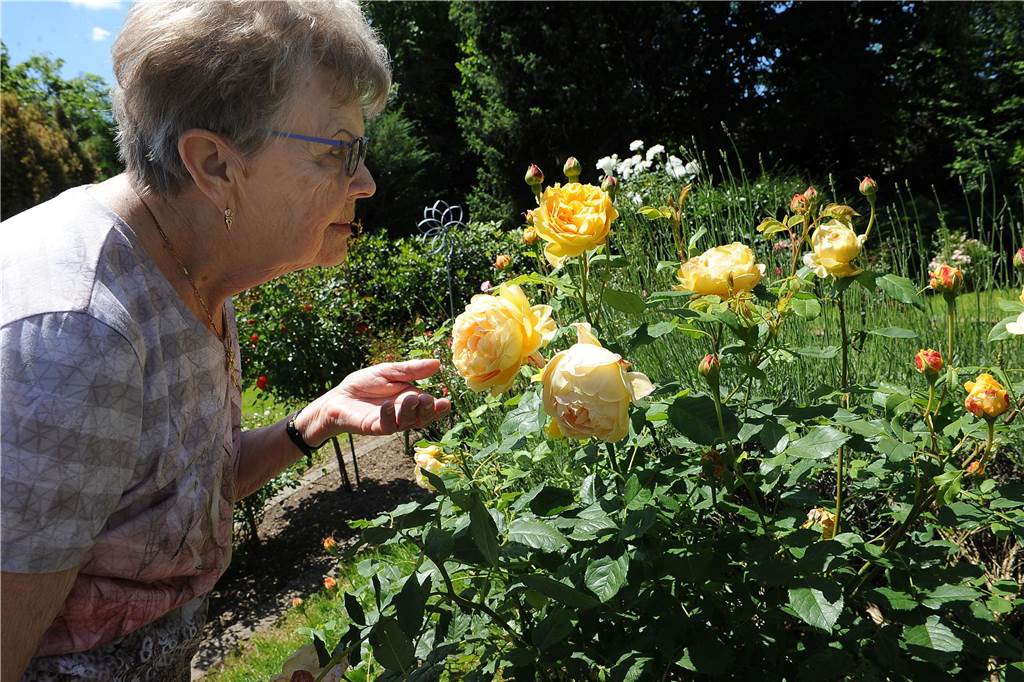 Aktion Garten Eden für das Schwerter Hospiz
Garten Petzborn/Schorn
