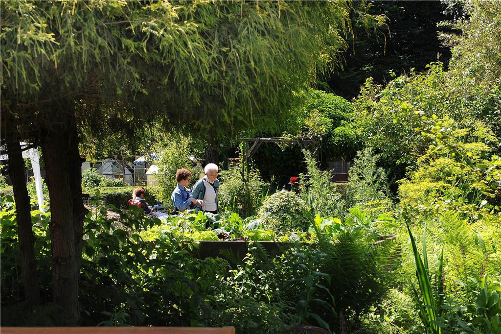 Aktion Garten Eden für das Schwerter Hospiz
Garten Zaubzer/Beck