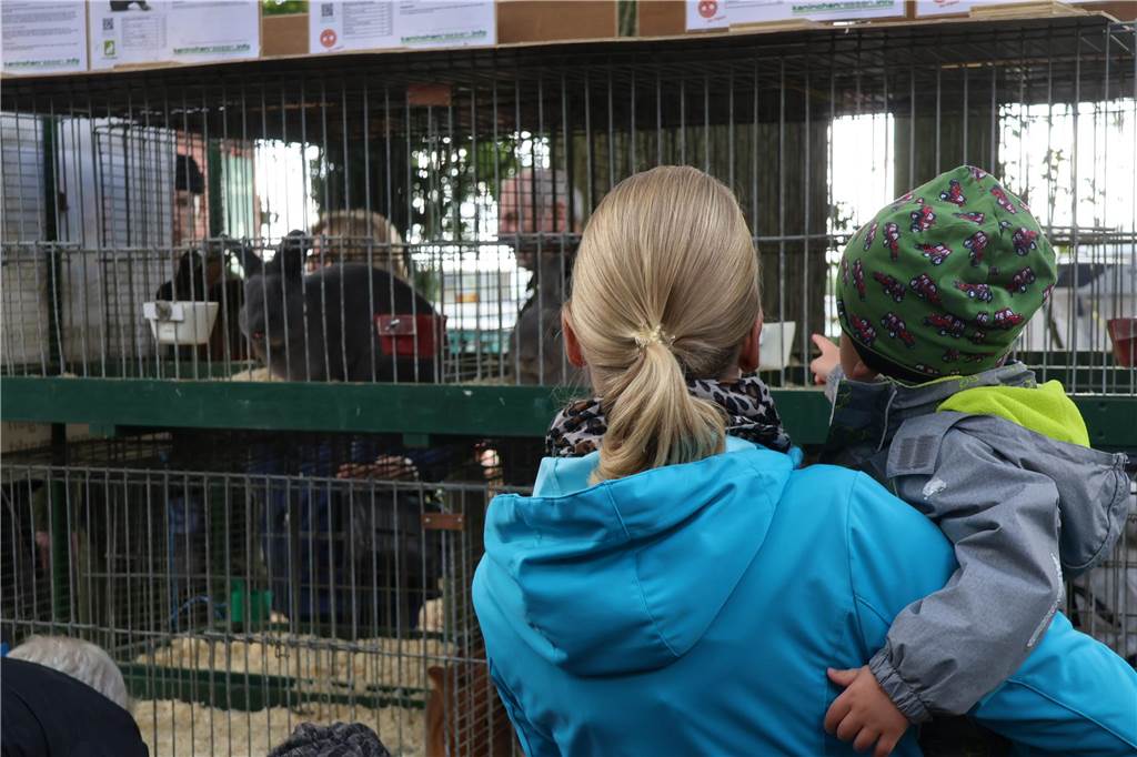 Viele Fotos vom Bauernmarkt in Raesfeld-Erle: Zahlreiche Besucher am Hof Stegerhoff