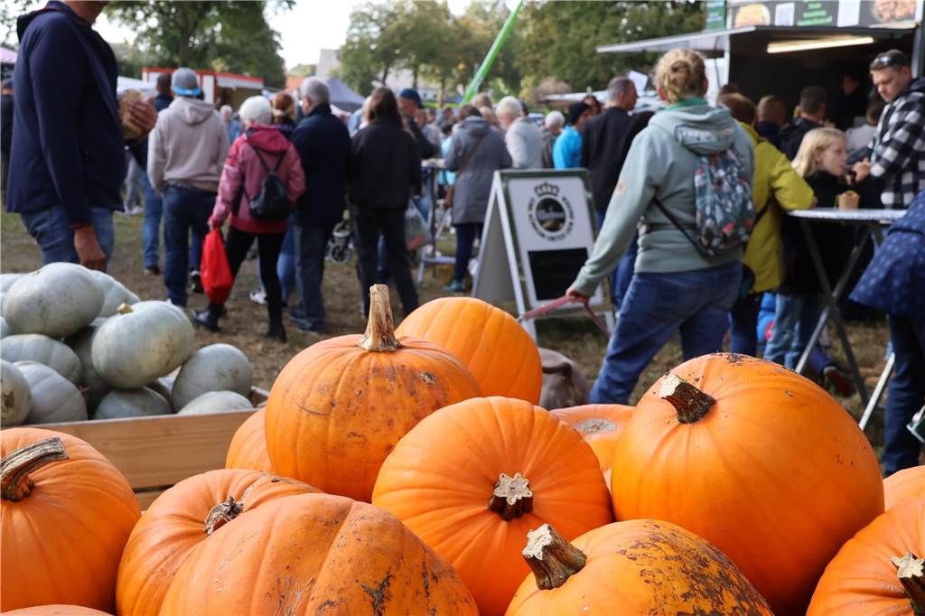 Viele Fotos vom Bauernmarkt in Raesfeld-Erle: Zahlreiche Besucher am Hof Stegerhoff