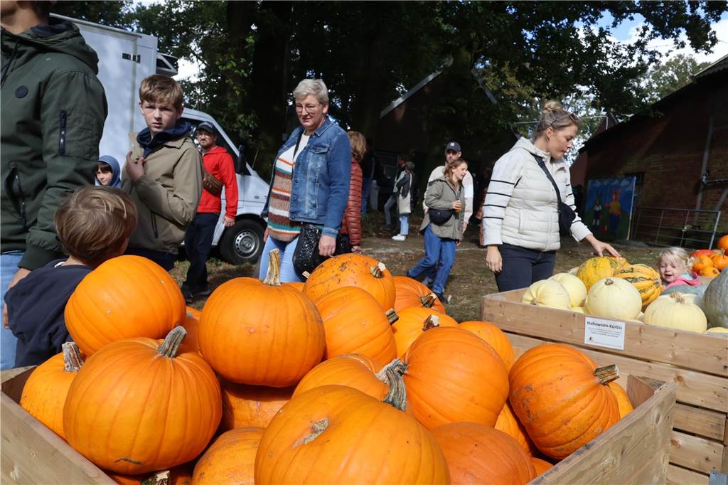 Viele Fotos vom Bauernmarkt in Raesfeld-Erle: Zahlreiche Besucher am Hof Stegerhoff