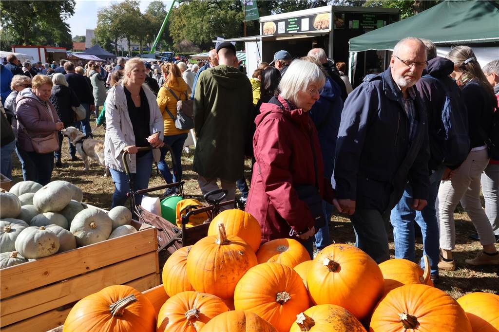 Viele Fotos vom Bauernmarkt in Raesfeld-Erle: Zahlreiche Besucher am Hof Stegerhoff