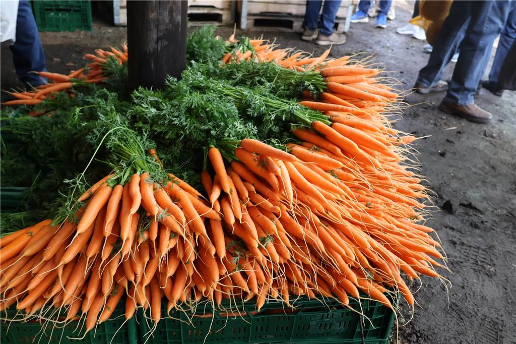 Viele Fotos vom Bauernmarkt in Raesfeld-Erle: Zahlreiche Besucher am Hof Stegerhoff