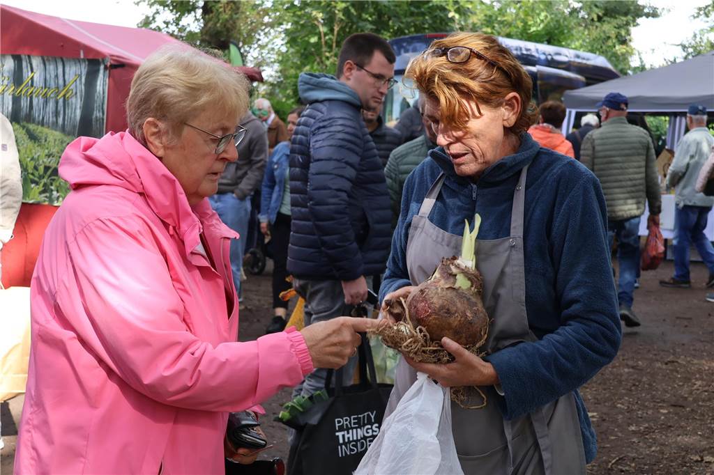 Viele Fotos vom Bauernmarkt in Raesfeld-Erle: Zahlreiche Besucher am Hof Stegerhoff
