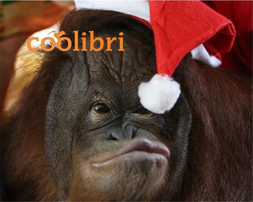 Endlich Wochenende: Es weihnachtet sehr Endlich Wochenende: Es weihnachtet sehr