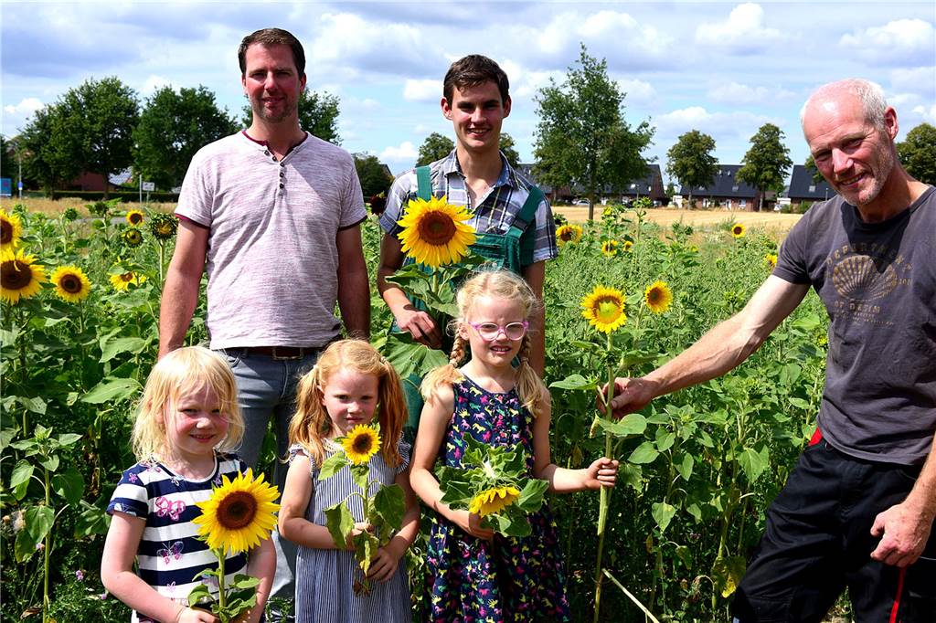 Sonnenblumen zum Selberpflücken für den guten Zweck in Legden Bild aus 2019: Die Landwirte Christian Bomberg (l.), Christoph Watermann (M.) und Heinz Bernd Saalmann. Auch Christian Bombergs Kinder Jonna Luisa und Jule (v.l.) erfreuten sich an den gelben Blumen.