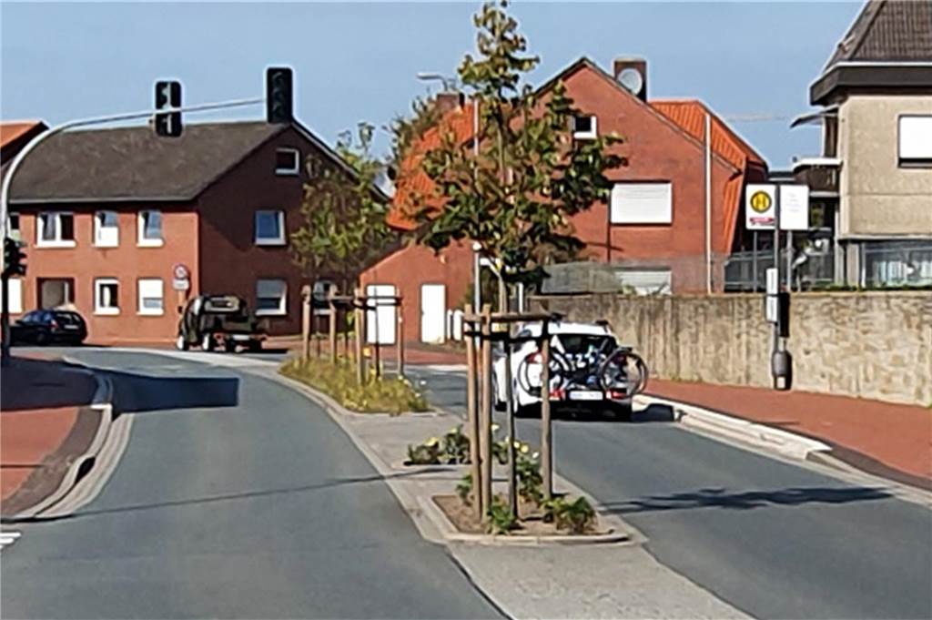 Bild aus dem Sommer 2022: Die Winterlinden hatten sich gut entwickelt. Jetzt haben bisher Unbekannte sie abgesäbelt.