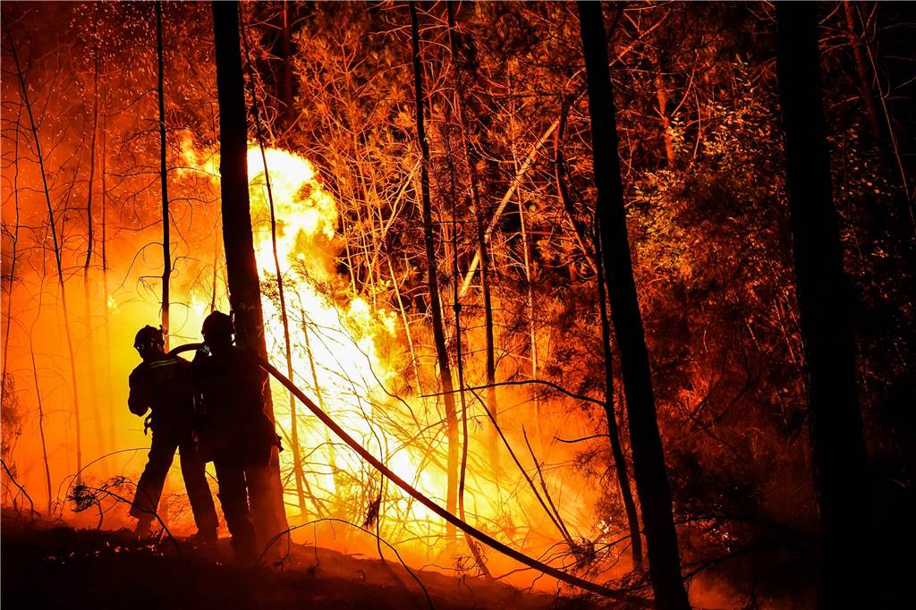 Hitze und Waldbrandgefahr in Selm und Lünen: Experte räumt mit Irrtümern auf Bild aus Südfrankreich: Auch hier kämpfte die Feuerwehr am 07. Juli 2022, gegen Waldbrände.