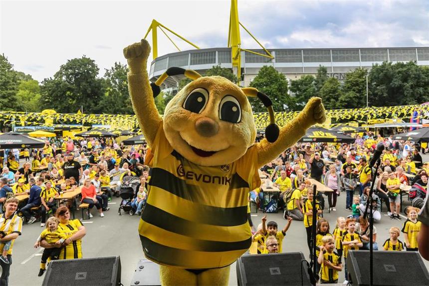 Bilder des BVB-Familienfests.