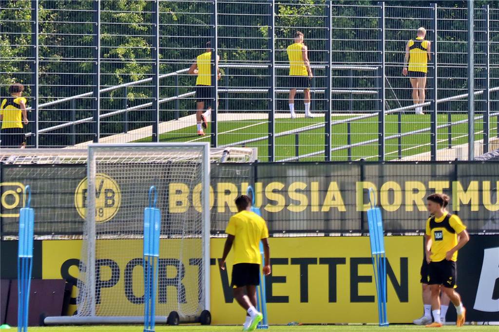 Bilder des BVB-Trainings am 11. Juli.