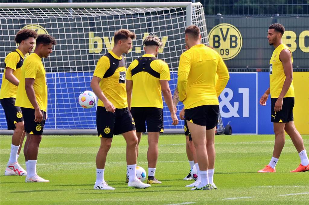 Bilder des BVB-Trainings am 11. Juli.