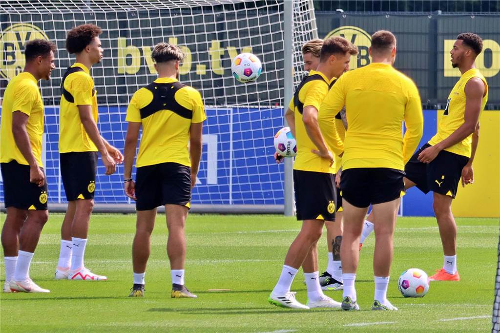 Bilder des BVB-Trainings am 11. Juli.