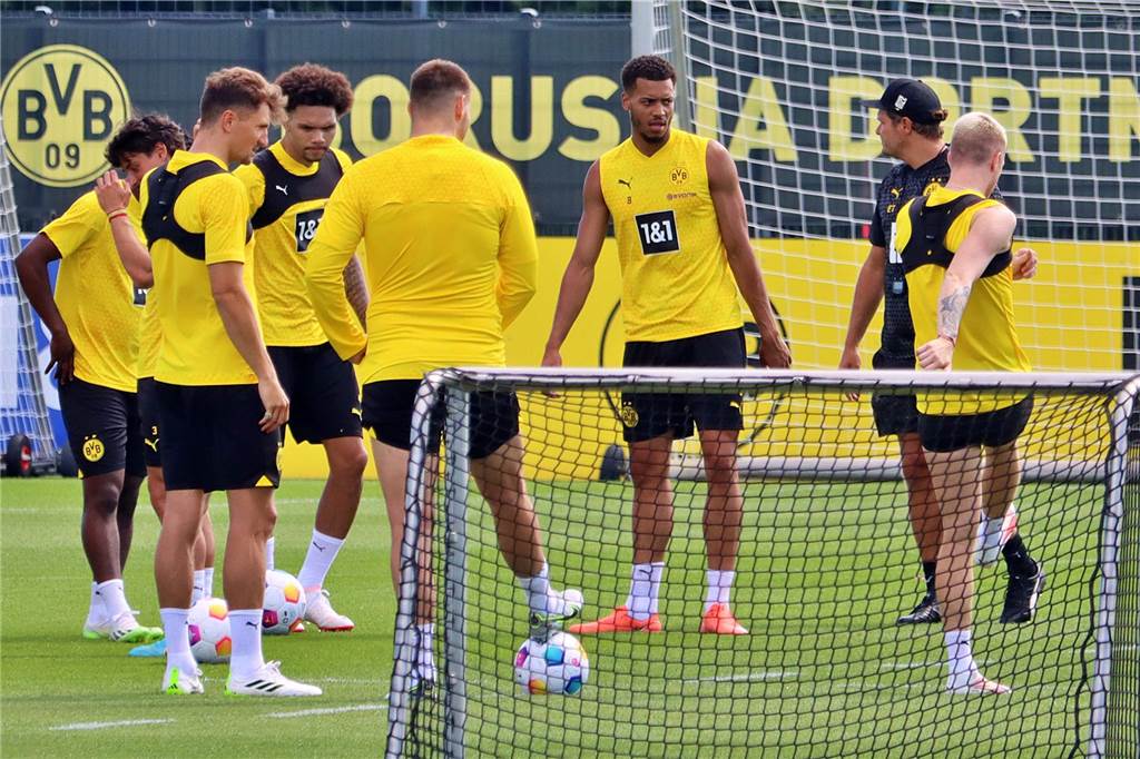 Bilder des BVB-Trainings am 11. Juli.