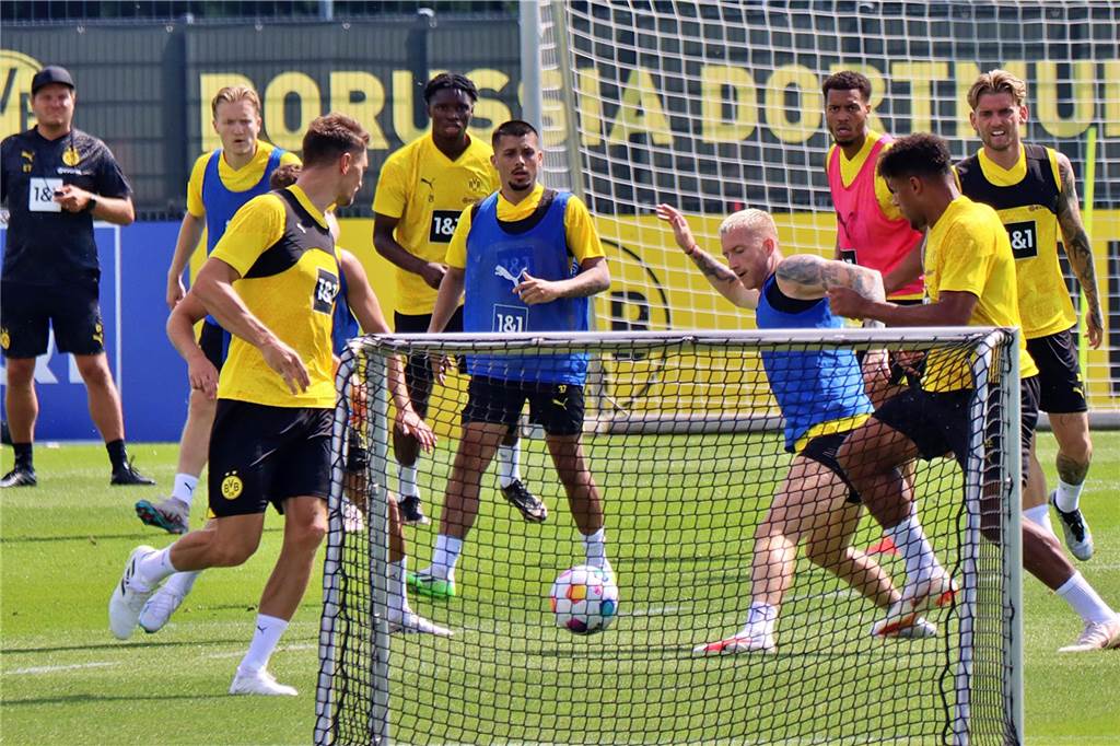 Bilder des BVB-Trainings am 11. Juli.