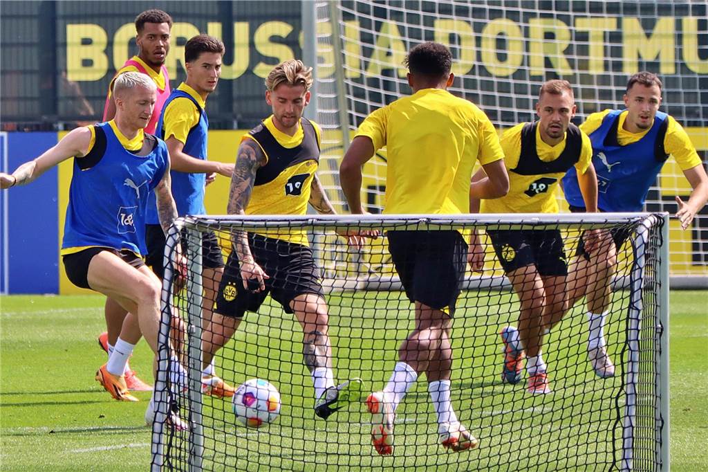 Bilder des BVB-Trainings am 11. Juli.
