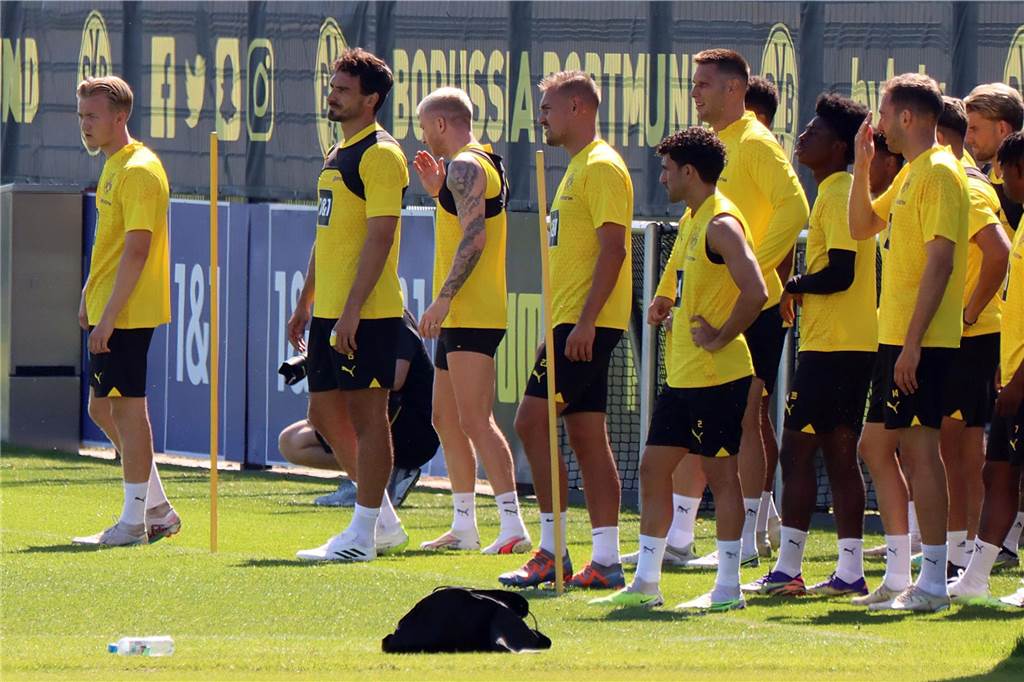 Bilder des BVB-Trainings am 7. Juli.
