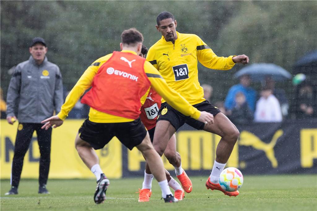 Bilder des BVB-Trainings in Marbella am 8. Januar.