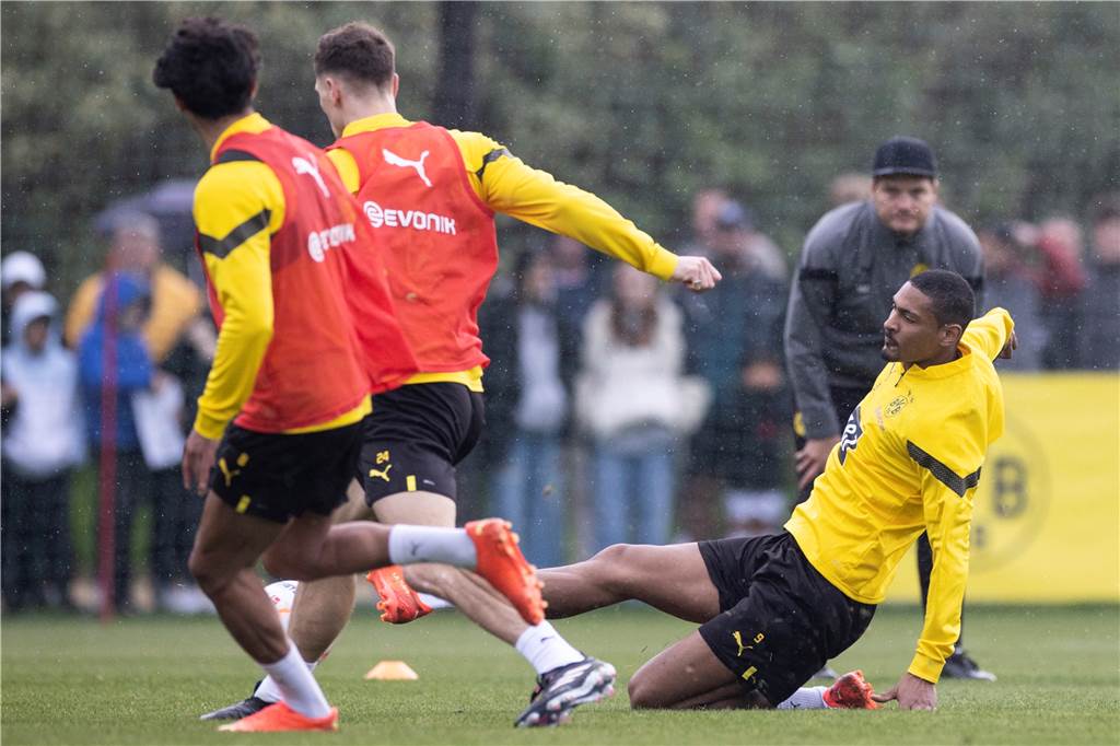 Bilder des BVB-Trainings in Marbella am 8. Januar.