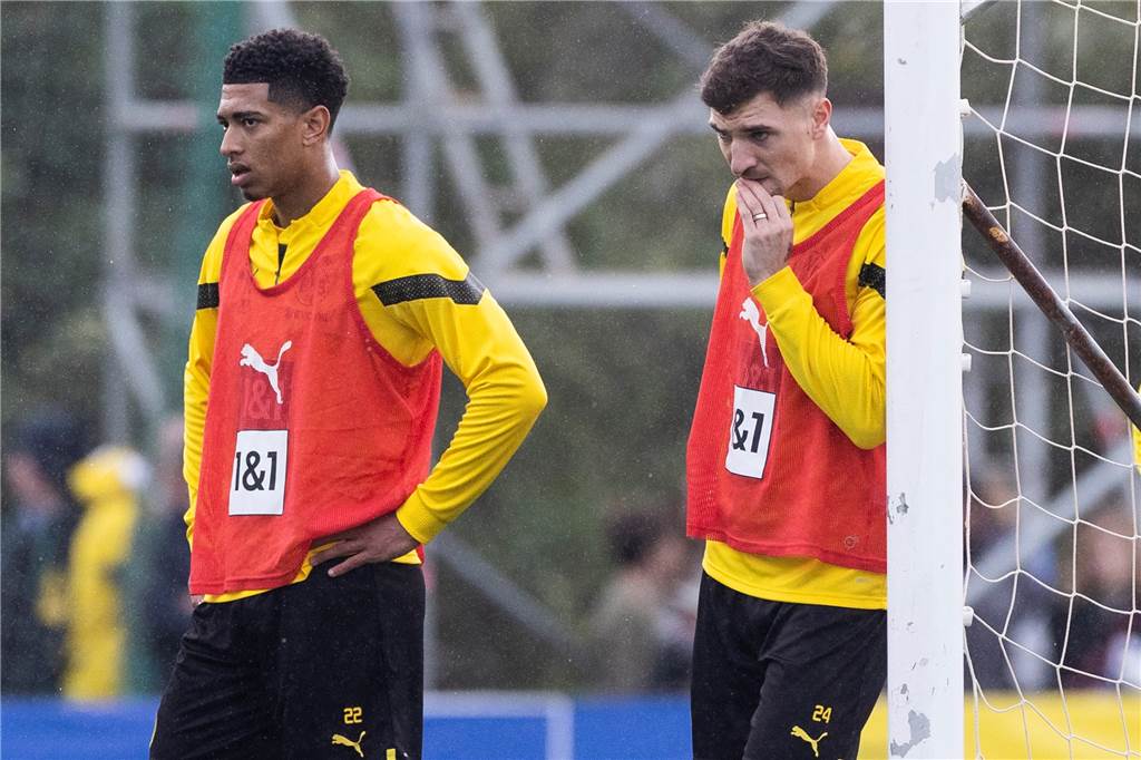 Bilder des BVB-Trainings in Marbella am 8. Januar.