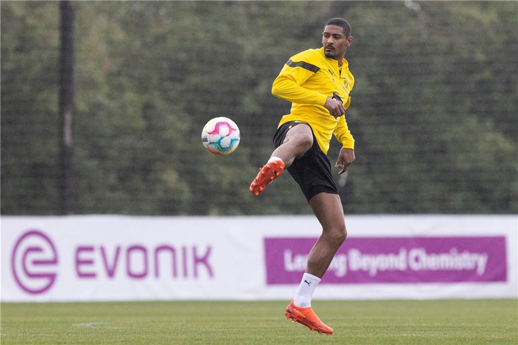 Bilder des BVB-Trainings in Marbella am 8. Januar.
