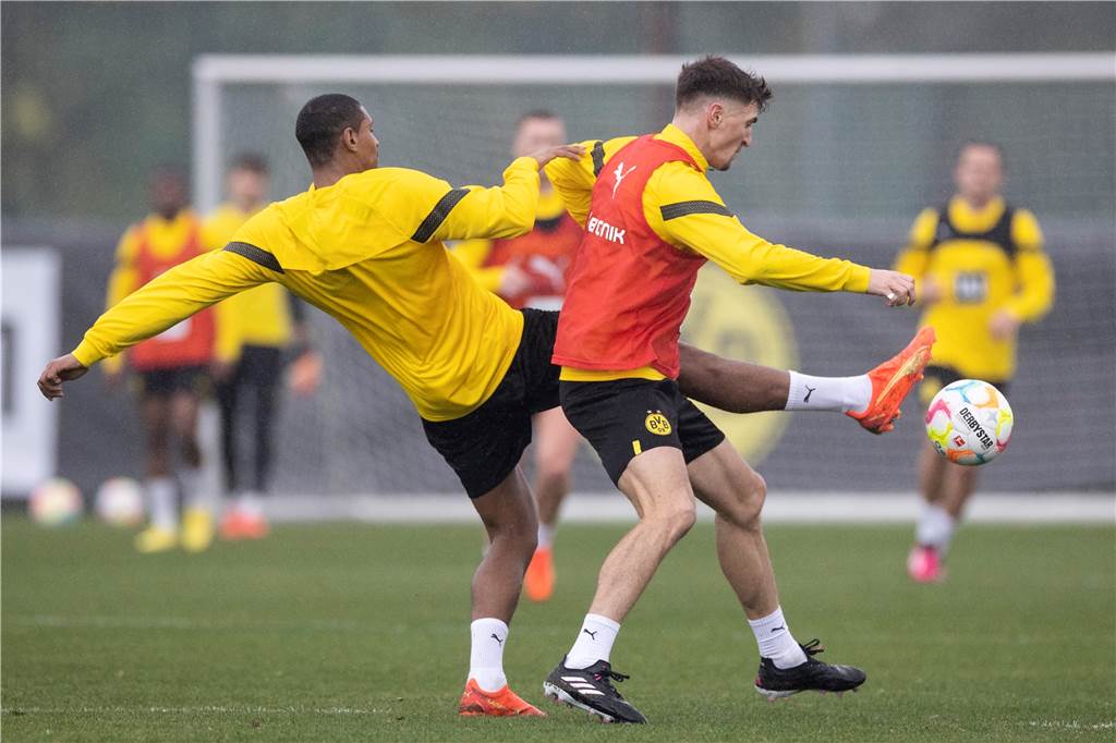 Bilder des BVB-Trainings in Marbella am 8. Januar.