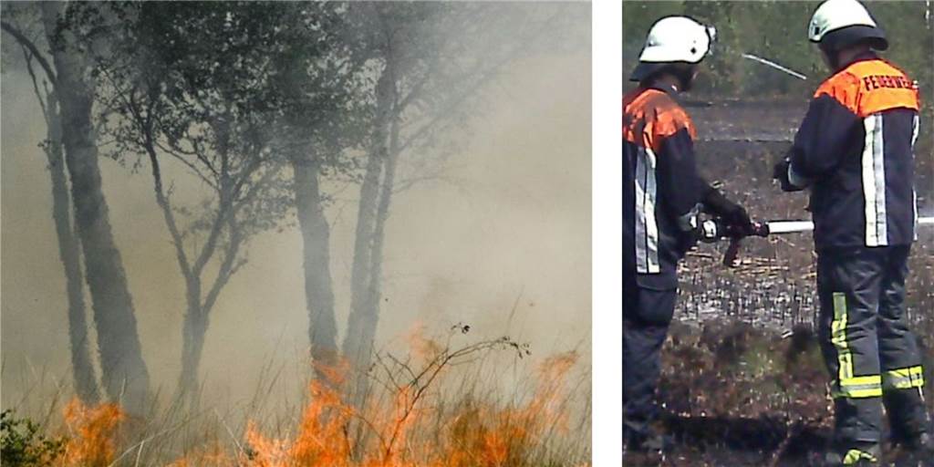 Waldbrandgefahr steigt: Feuerwehren sollen weiter zusammenrücken Bilder vom verheerenden Brand im Amtsvenn zwischen Gronau und Ahaus 2011.