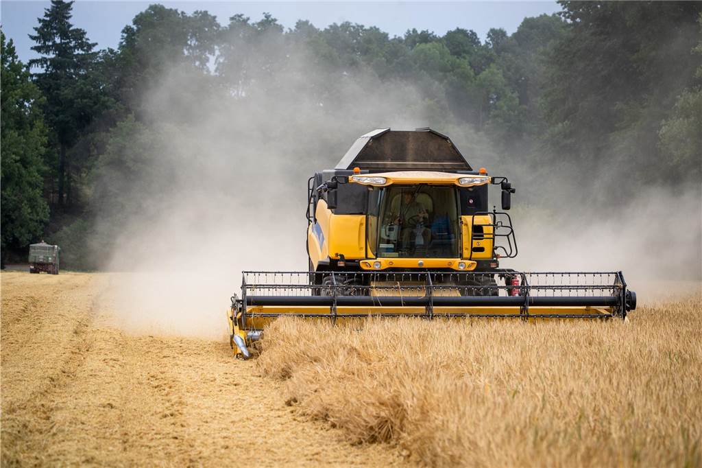 Dauerregen bereitet vor allem den Landwirten große Probleme Bilder wie dieses wünschen sich derzeit die Landwirte. Leider macht der Regen die Ernte oft unmöglich.