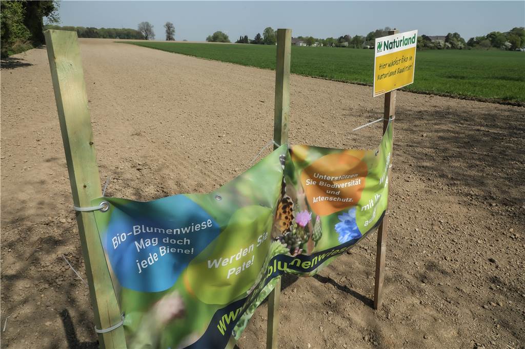 Bio-Blumenwiesen unterstützen Vielfalt und Artenschutz.