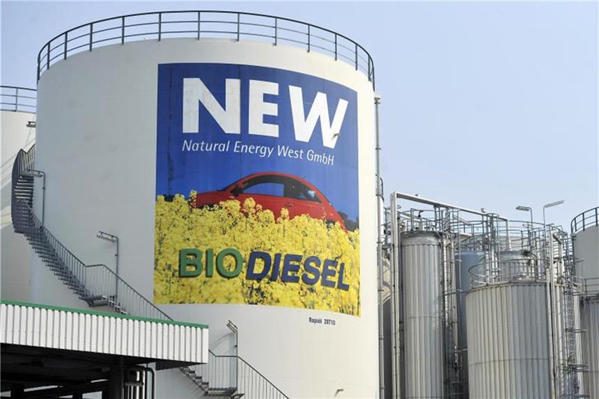 Biodieseltanks auf dem Gelände der Firma Natural Energy West GmbH. Foto: Henning Kaiser/Archiv