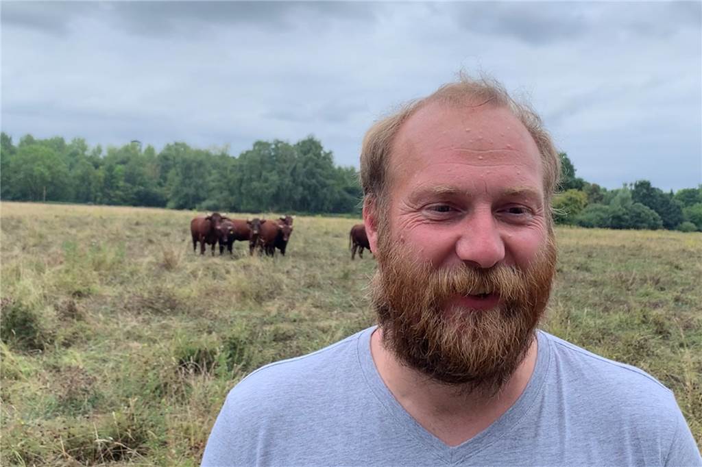 Ausgleich für A43-Ausbau: Rotes Höhenvieh grast an der A42 in Castrop-Rauxel Landwirt Jan Dickhöfer steht auf der Weide. Im Hintergrund grast das Rote Höhenvieh.