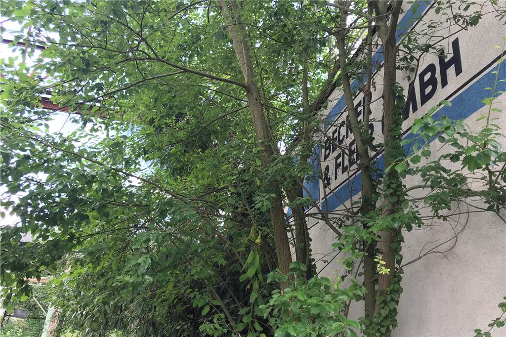 40 Wohnungen für Schwertes Innenstadt: Das sagt der Investor zum CDU-Ärger Bis 2006 war hier der Sitz von Becker und Fleer. Dann zog die Firma zum Nattland.