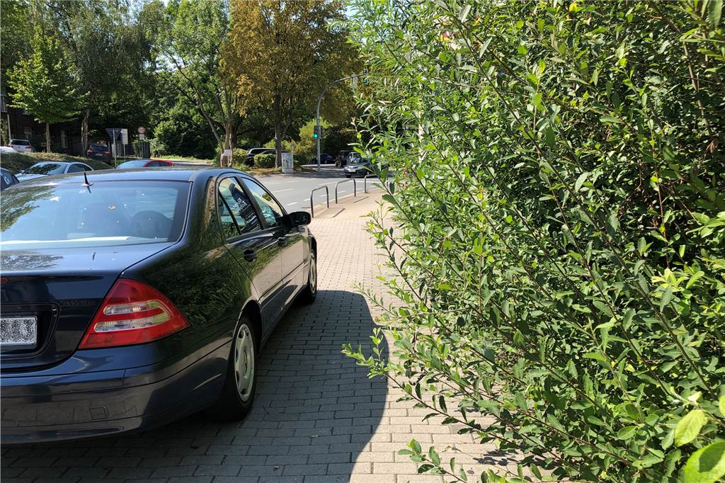 An dieser Straße wird es für Fußgänger gefährlich eng - die Hilfe der Stadt überrascht Bis vor Kurzem war der Grünschnitt noch nicht gemacht und nahm zusätzlich Platz weg.