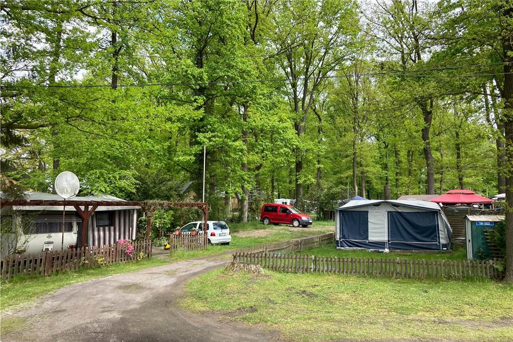 Ansturm zur EM? : Campingplätze rechnen mit spontanen Fußball-Fans Zelte stehen auf einem Campingplatz.
