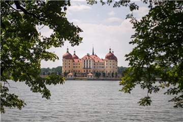 Blick auf das Schloss Moritzburg und den Schlossteich. Foto: Monika Skolimowska